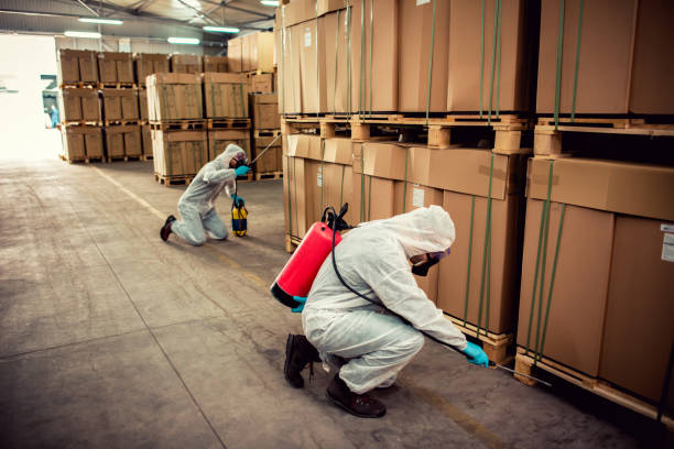 Professional Pest Control in Shawano, WI