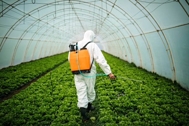 Best Best Pest Control Companies  in Shawano, WI