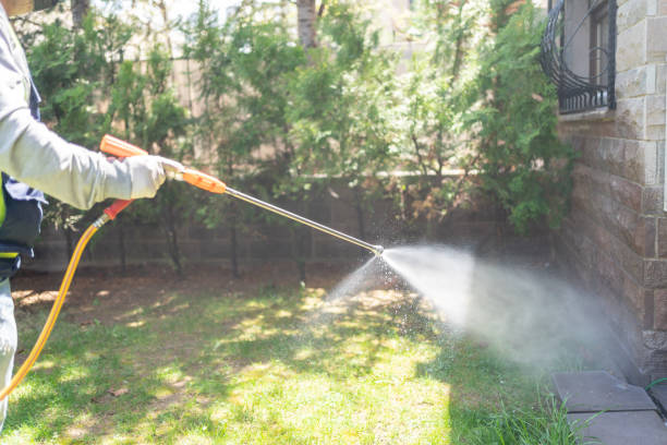 Best Local Pest Control Services  in Shawano, WI