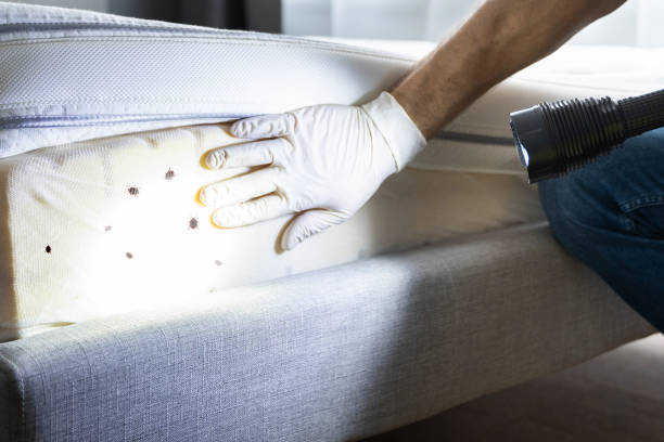 Best Rat Extermination Near Me  in Shawano, WI