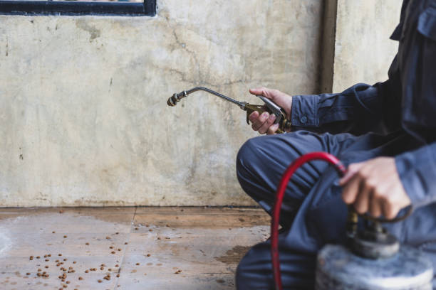 Best Affordable Exterminators  in Shawano, WI
